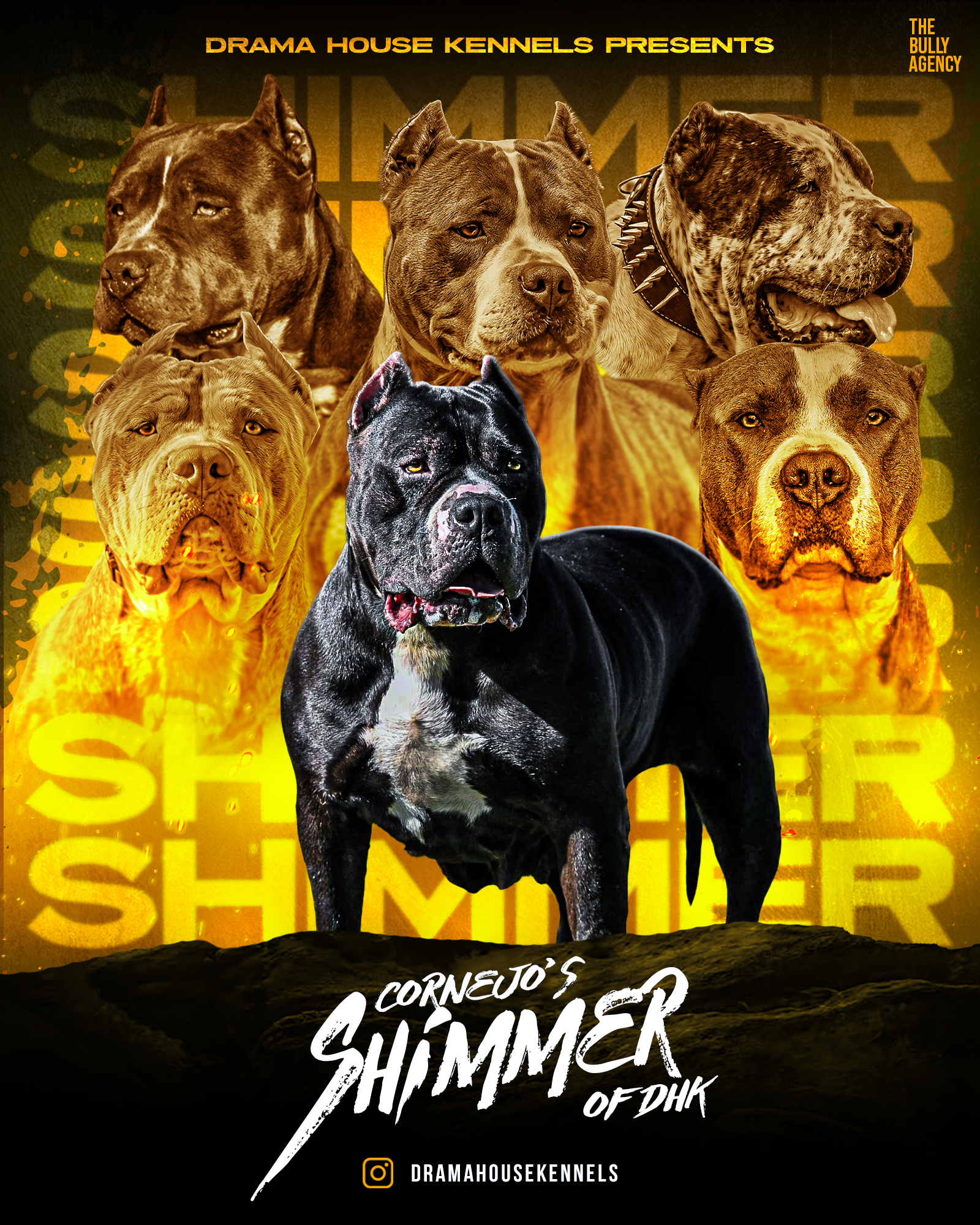DHK Shimmer