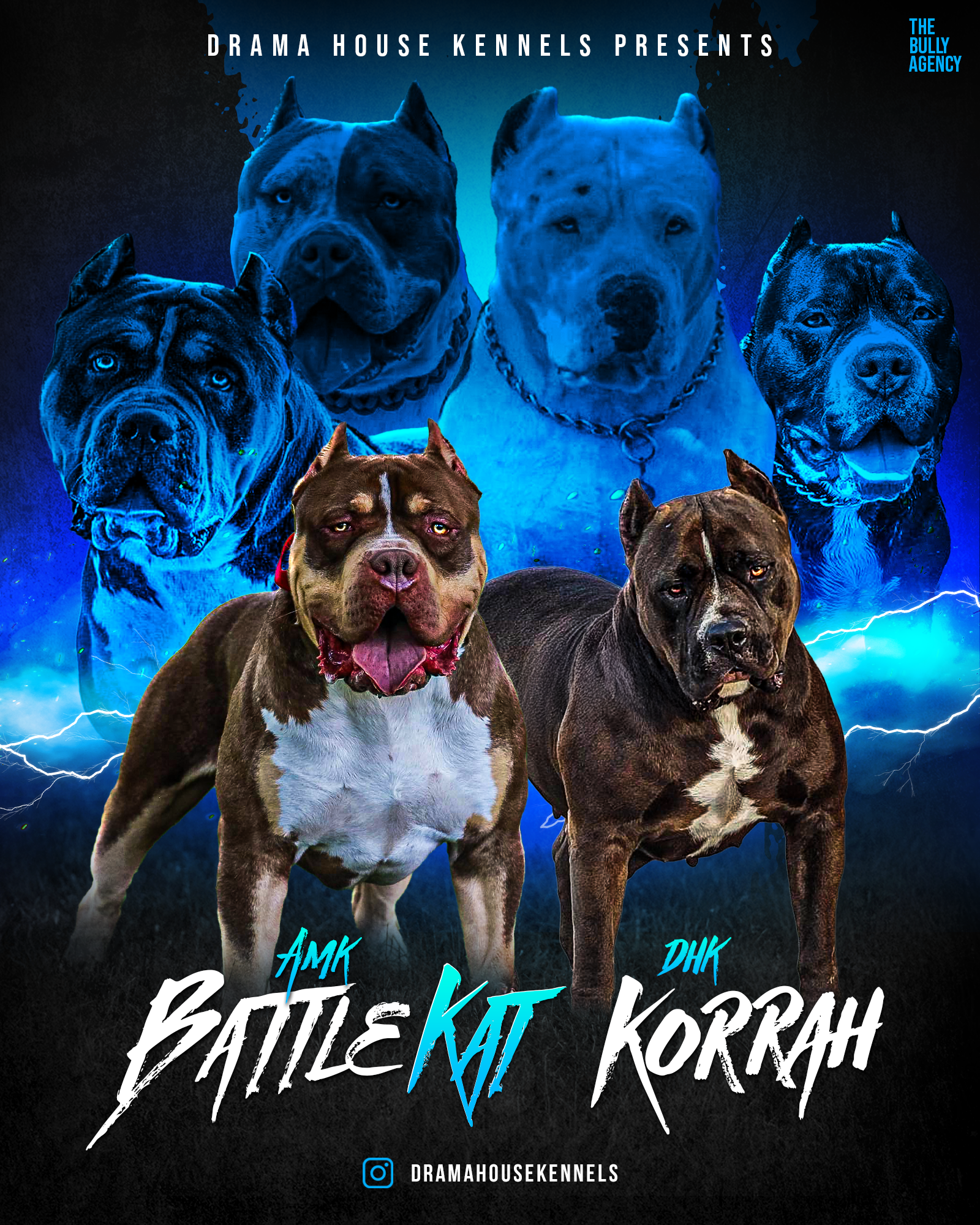 AMK Battle Kat and DHK Korrah planned breeding